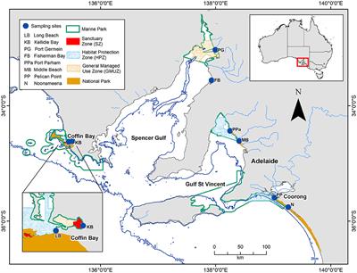 Taxonomic and Functional Patterns of Benthic Communities in Southern Temperate Tidal Flats